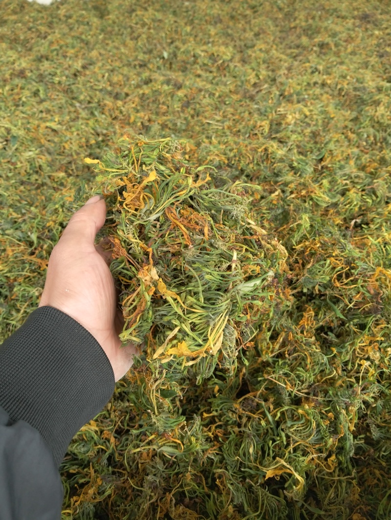 山银花