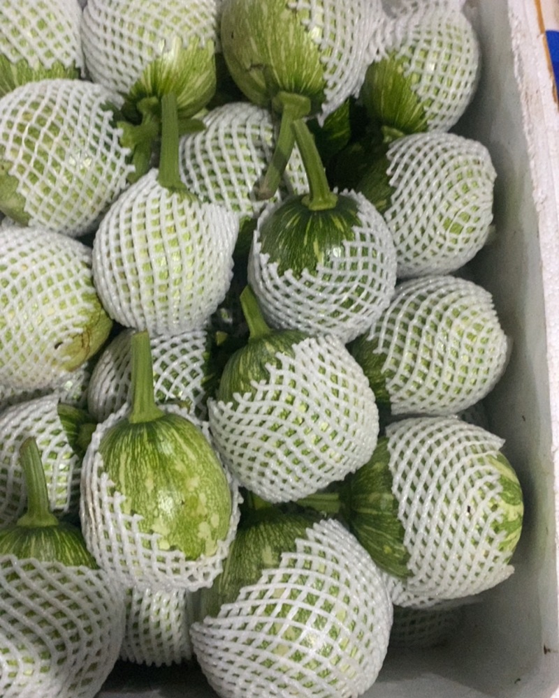 嫩南瓜