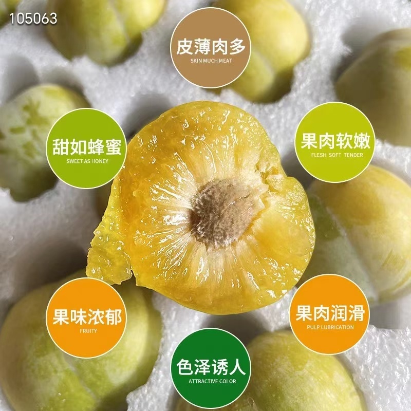 贵州蜂糖李