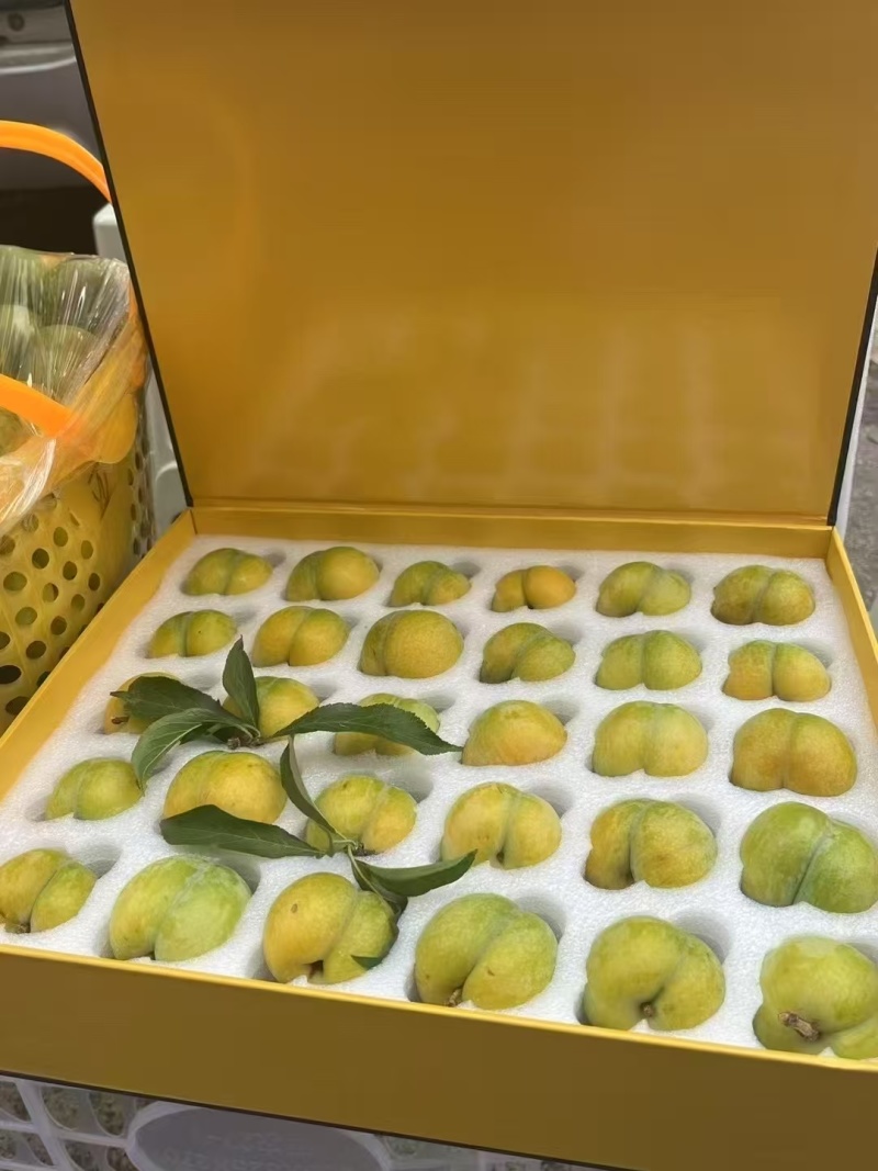镇宁蜂糖李