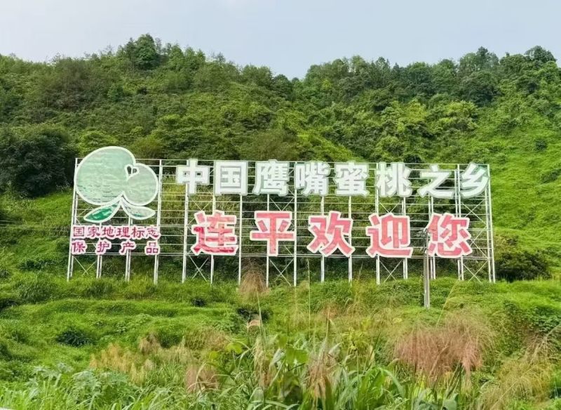 上坪鹰嘴水蜜桃