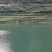 鲢鳙