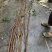 杂木条，1m5~2m确实很硬，很重，两条4斤半重