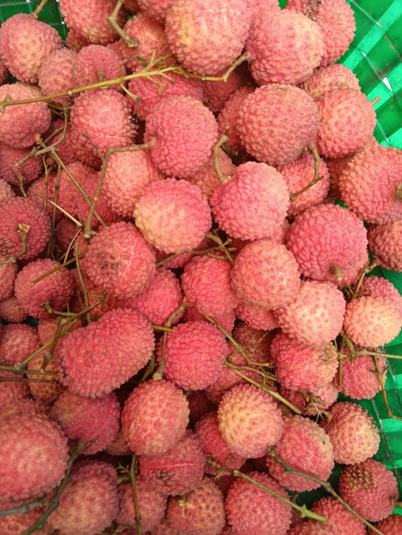 荔枝