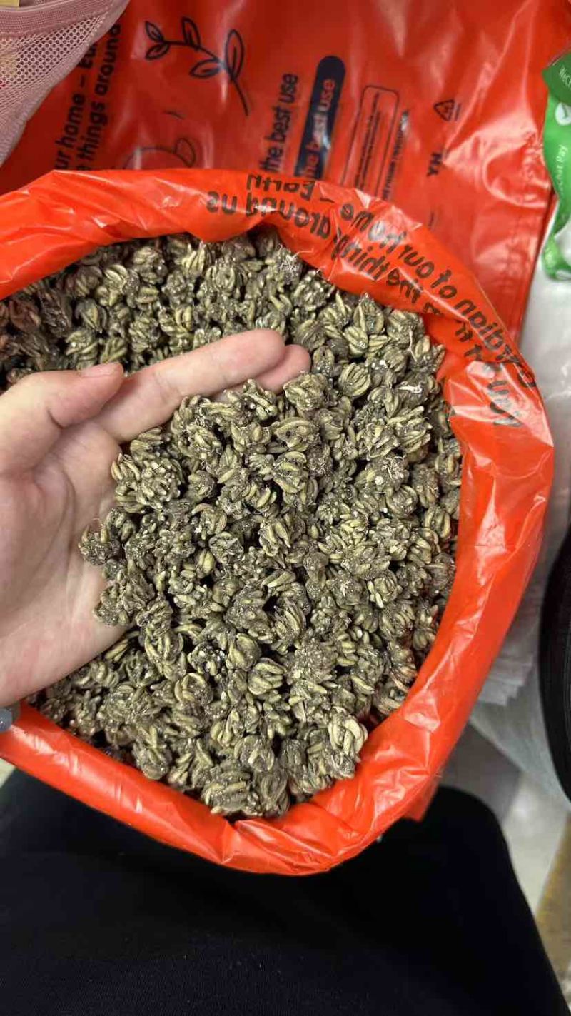 猫爪草，猫爪草