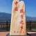 巫山正宗曲尺脆李