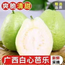 番石榴