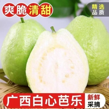 番石榴