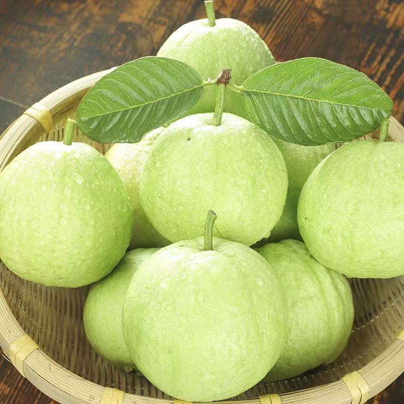 番石榴