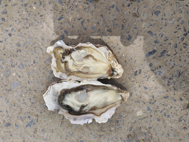 海鲜