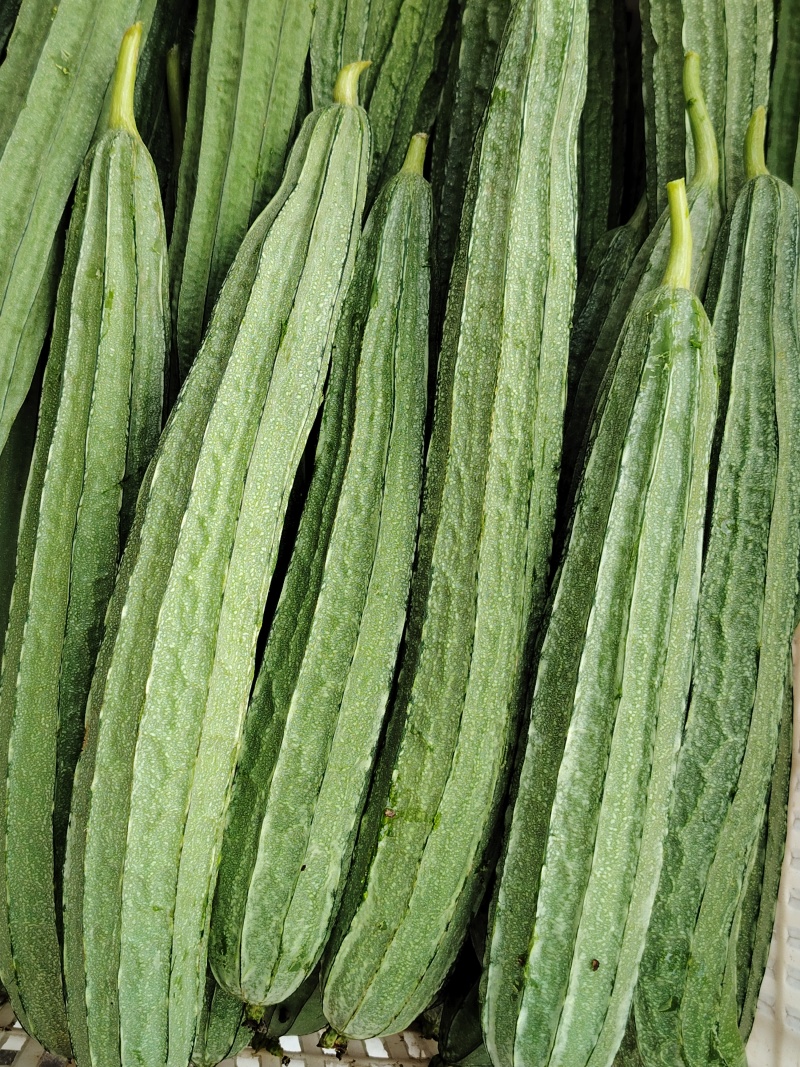 有需要的老板联系