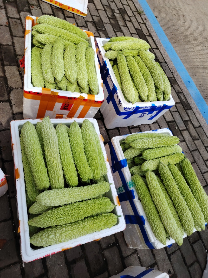 有需要的老板联系