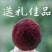 浙江仙居东魁杨梅