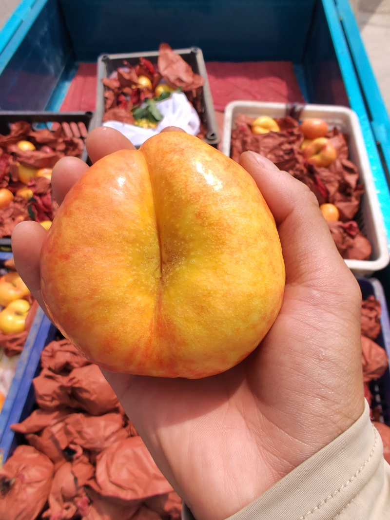 黄金油蟠桃