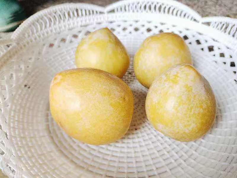 黄金奈李，甜过初恋，自产自销