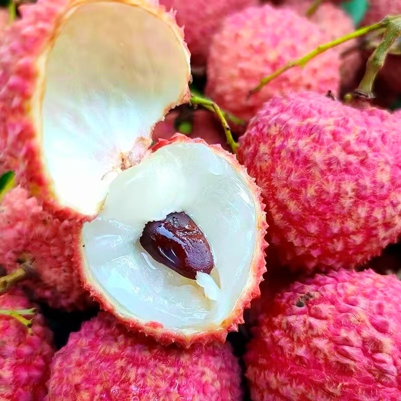 从化桂味荔枝