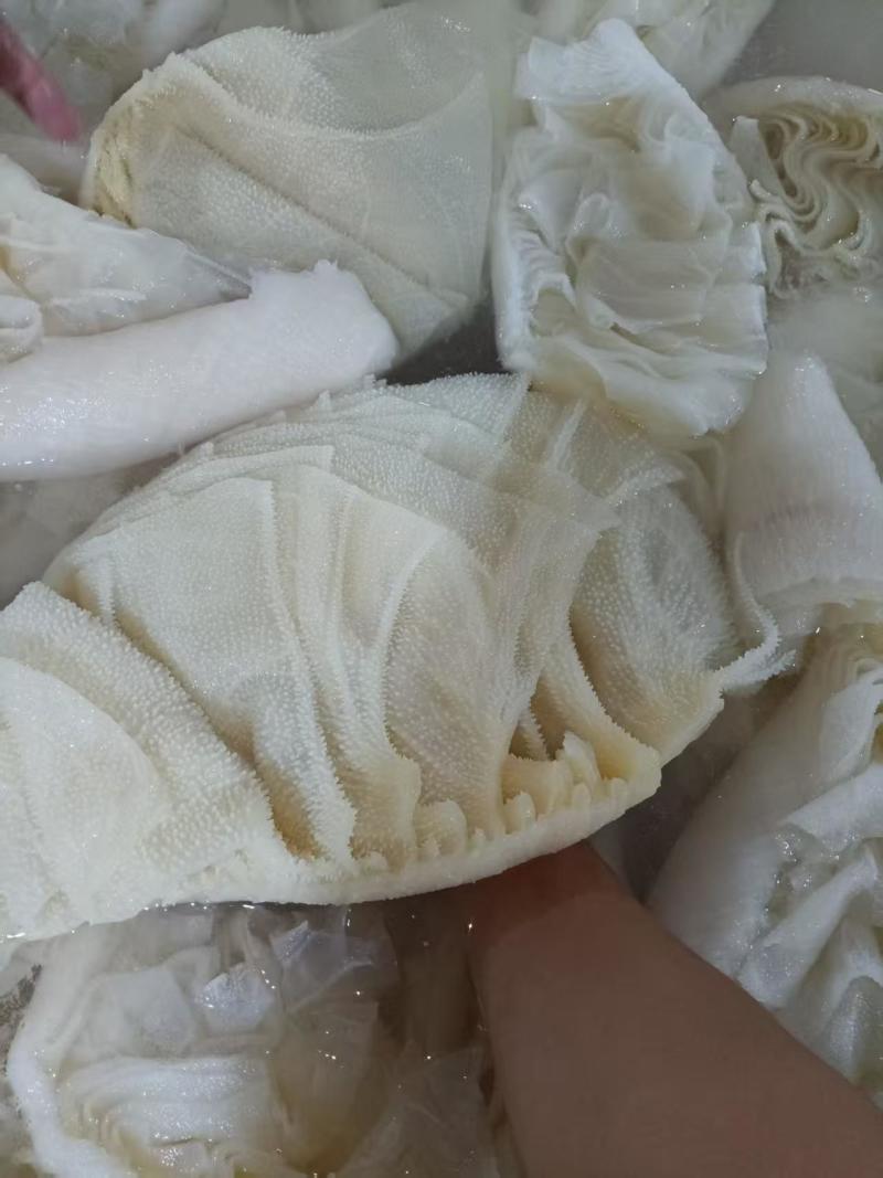 毛肚厂家直供
