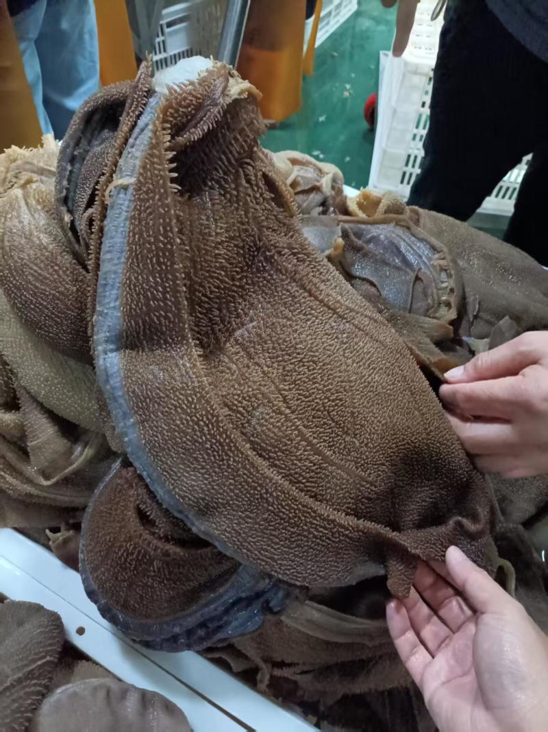 毛肚厂家直供