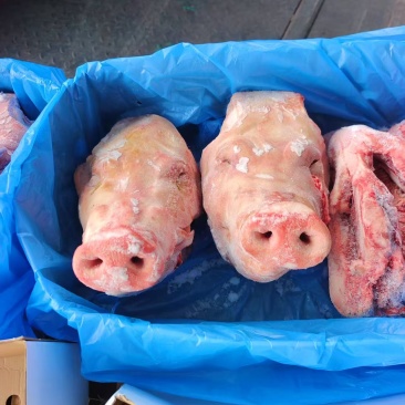 生猪头，去耳猪头，宴席餐饮熟食，**