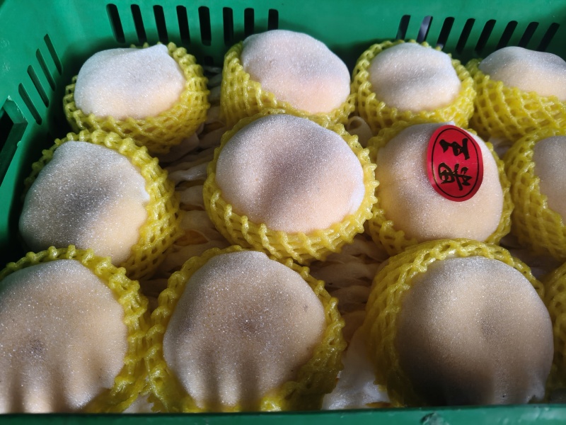 黄金蟠桃