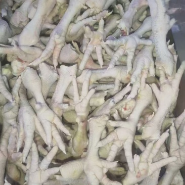 单冻花爪7吨
