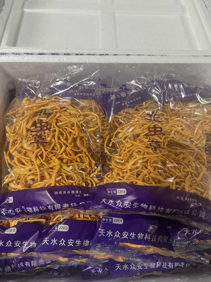 虫草花