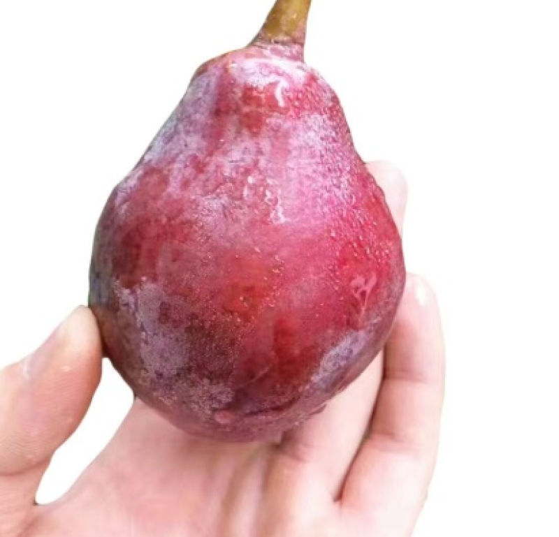 一件代，各大平台