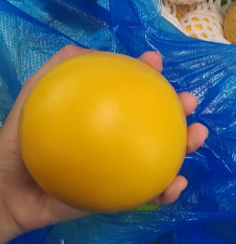 西双版纳黄金果