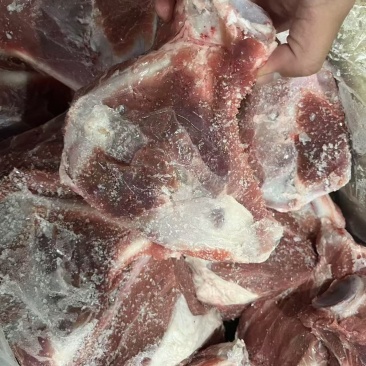 肥猪带肉扇骨，三个月以内生产的新货，10公斤16-20，带肉