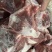 肥猪带肉扇骨，三个月以内生产的新货，10公斤16-20，带肉