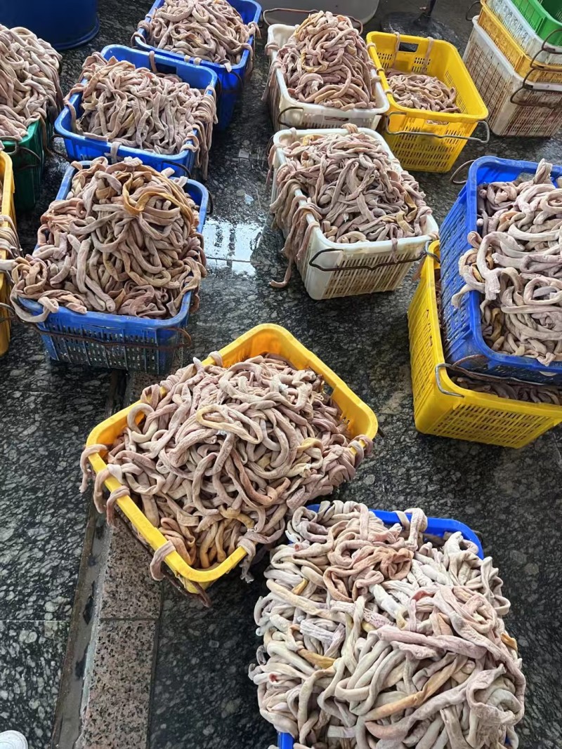二级肥猪熟小肠
