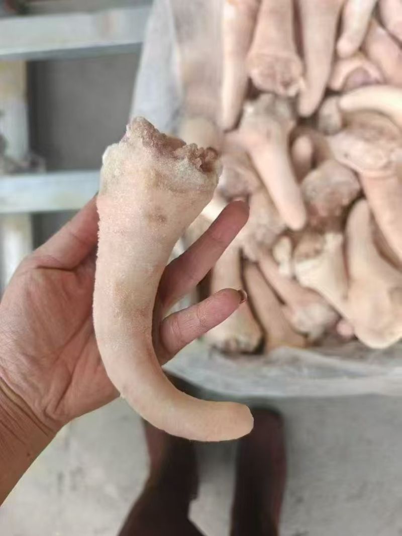 母猪中尾100件