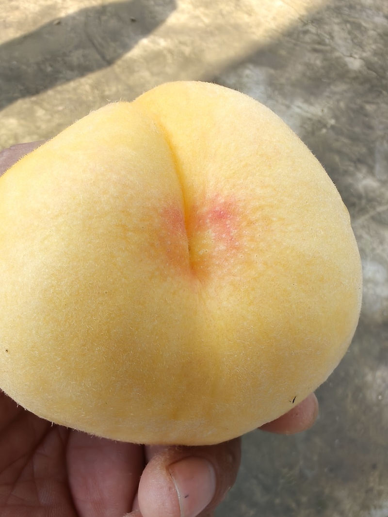桃