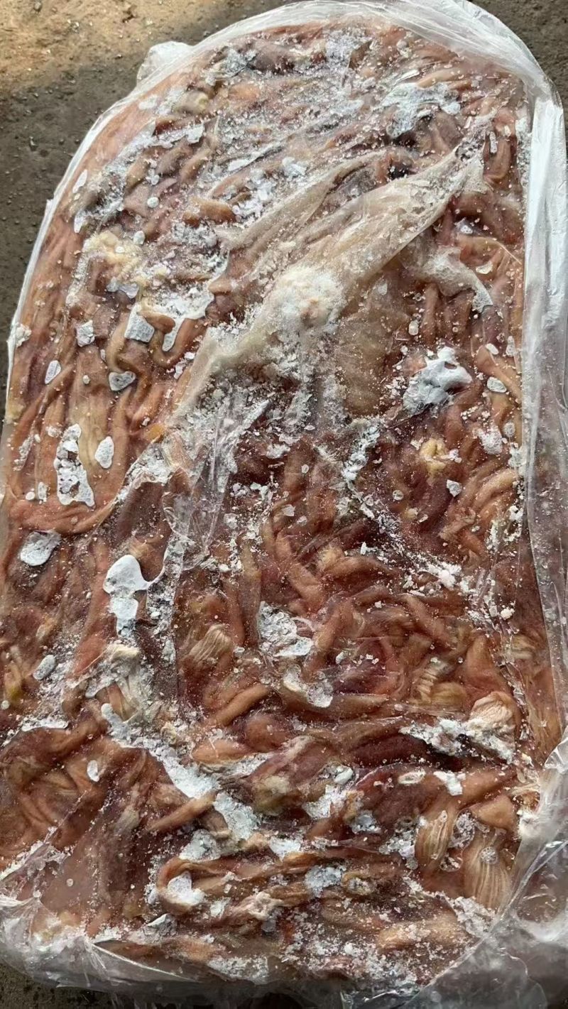 鸭食带有货