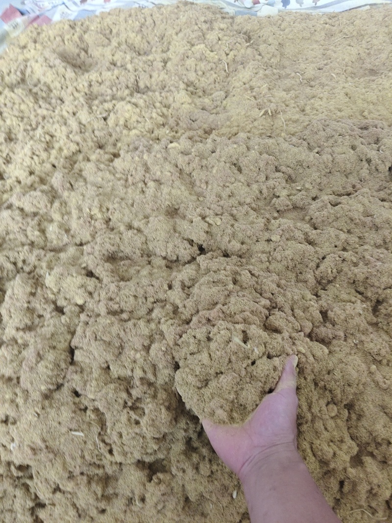 蒲黄