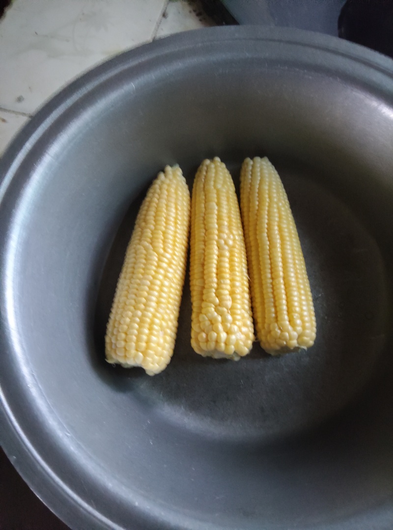 云南红河太阳花玉米