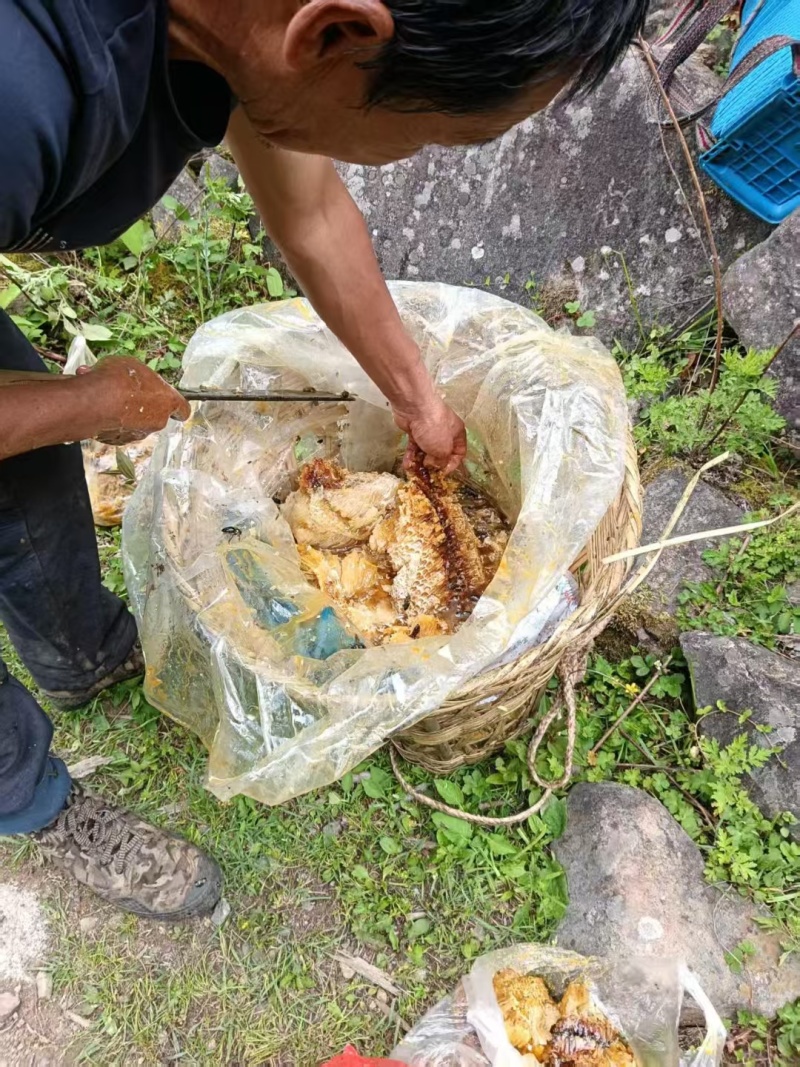 深山纯正野蜂蜜