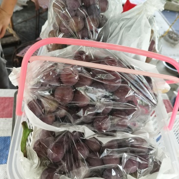 葡萄