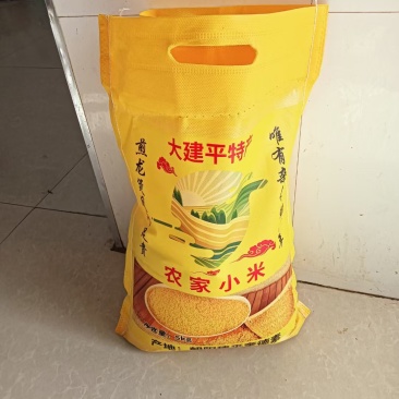老家建平小米自家种的
