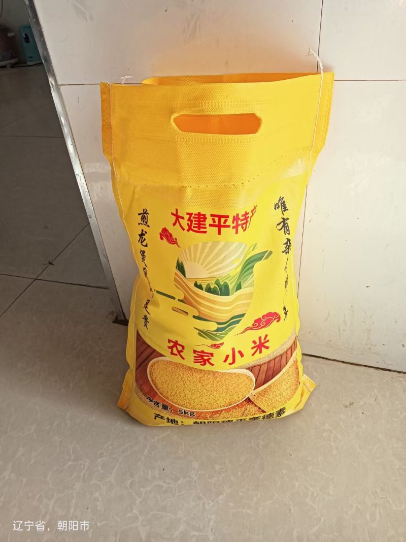 老家建平小米自家种的