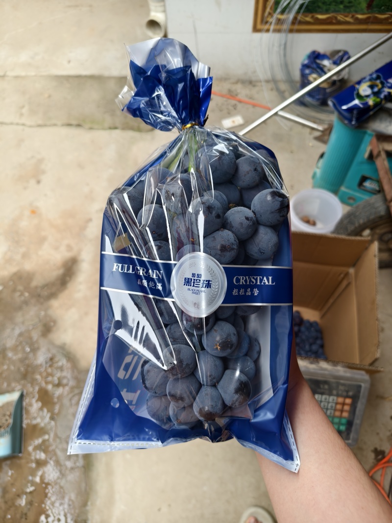 夏黑葡萄
