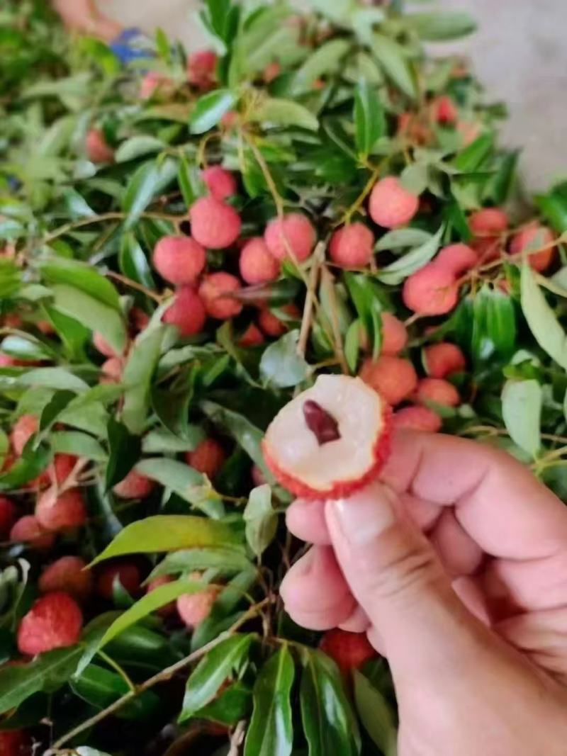 荔枝