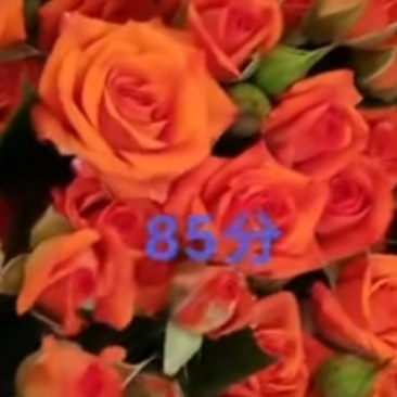 鲜花