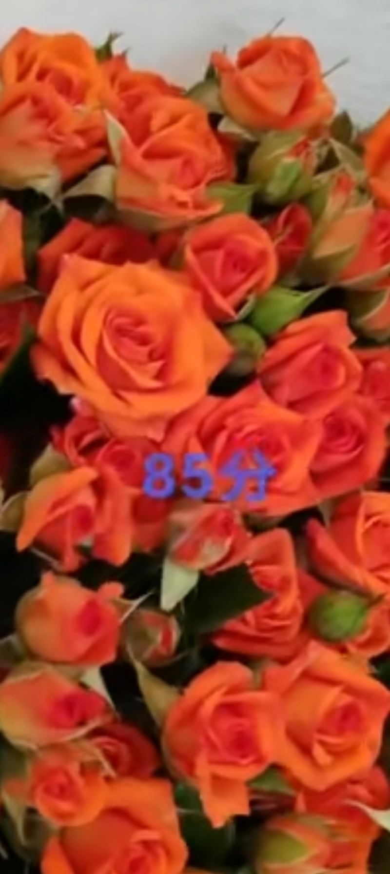 鲜花