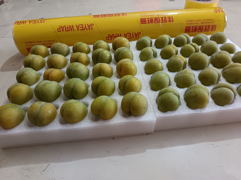 贵州六马蜂糖李