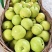 湖北翠玉梨子🍐