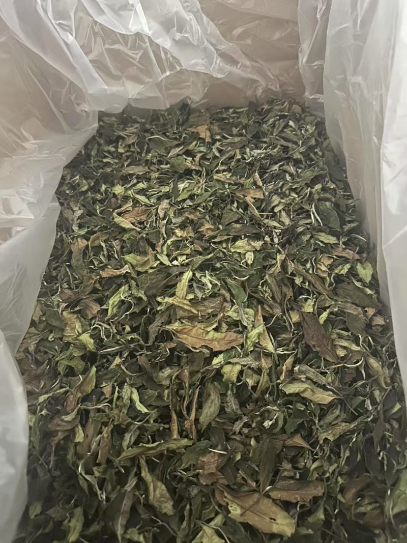普洱茶，夏季普洱白茶预售款