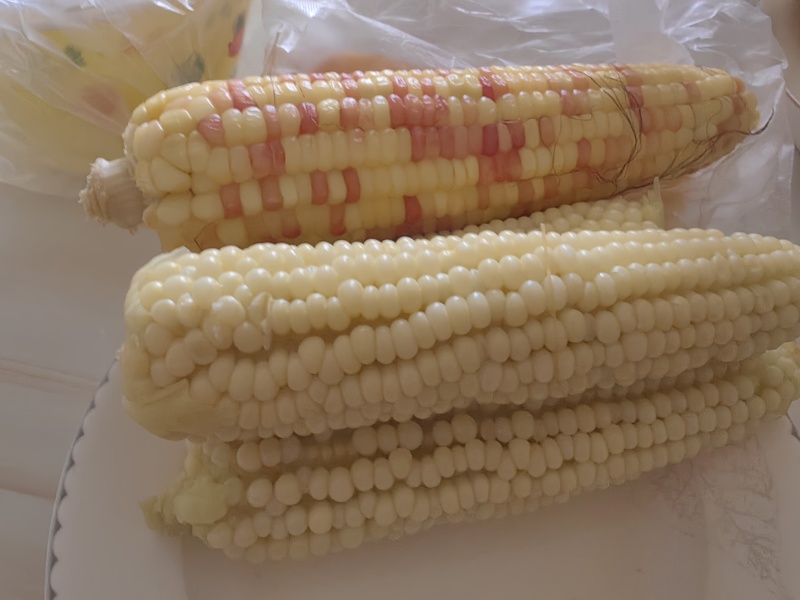 甜糯玉米