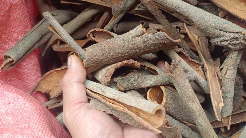 肉桂，辛辣香料，肉桂皮，桂通，桂碎