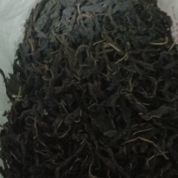 干芝麻叶